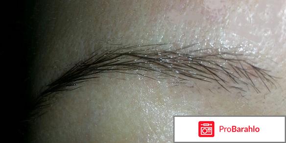 Краска для бровей и ресниц Estel Only Looks отрицательные отзывы