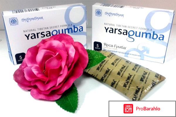Купить ярсагумба в москве в аптеке 
