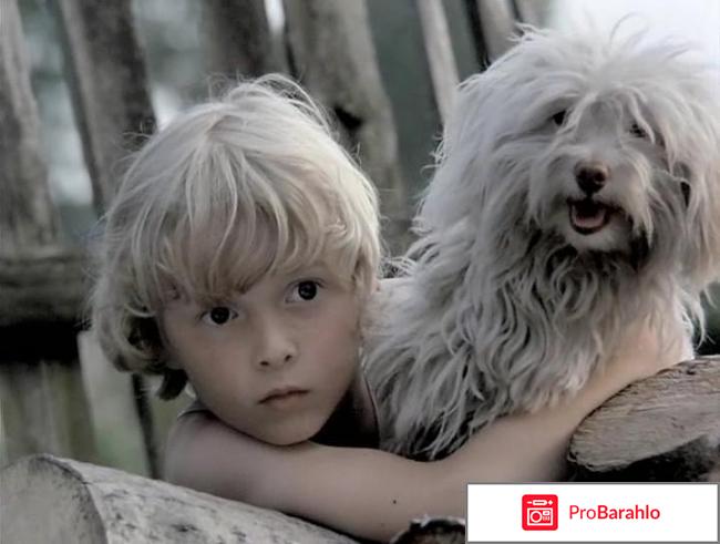 Ёлки палки отрицательные отзывы