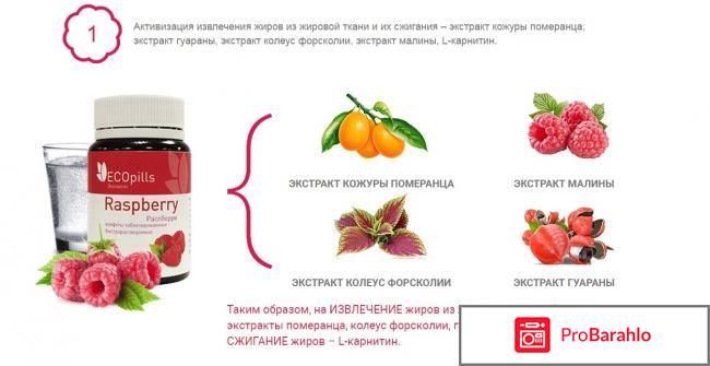 Eco Pills Raspberry отрицательные отзывы