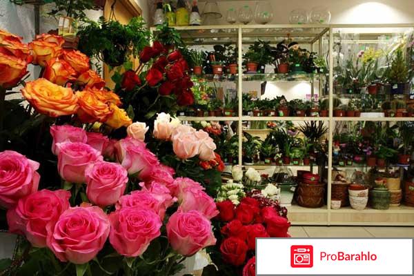 Отзывы цветочный магазин 