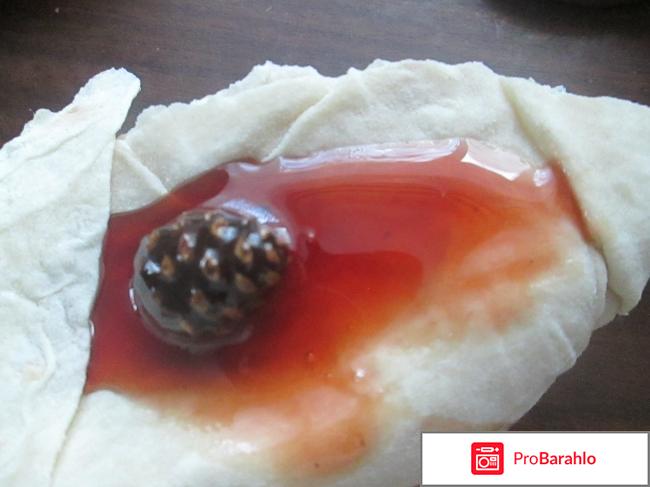 Варенье из сосновых шишек 