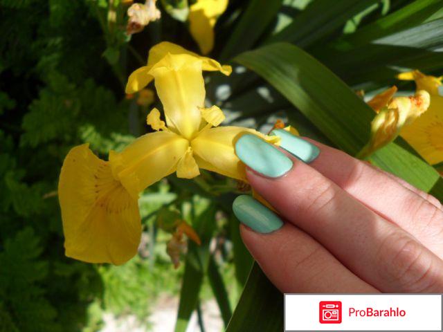 Лак для ногтей отзывы какой лучше фото