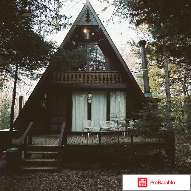 Куплю дачу в лесу обман