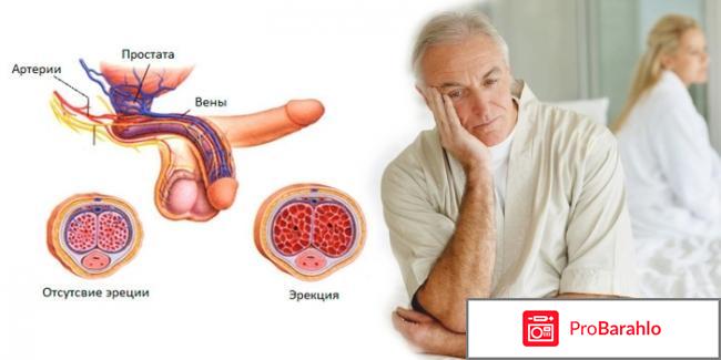 Вука вука отзывы мужчин форум 