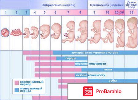 Как протекает беременность 