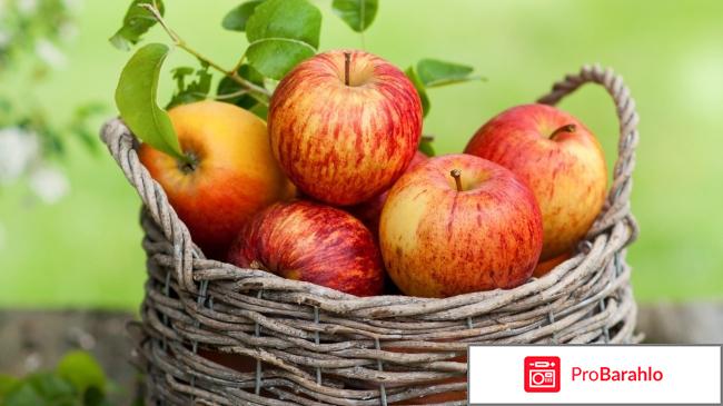 Яблоки: витамины, полезные свойства, вред 