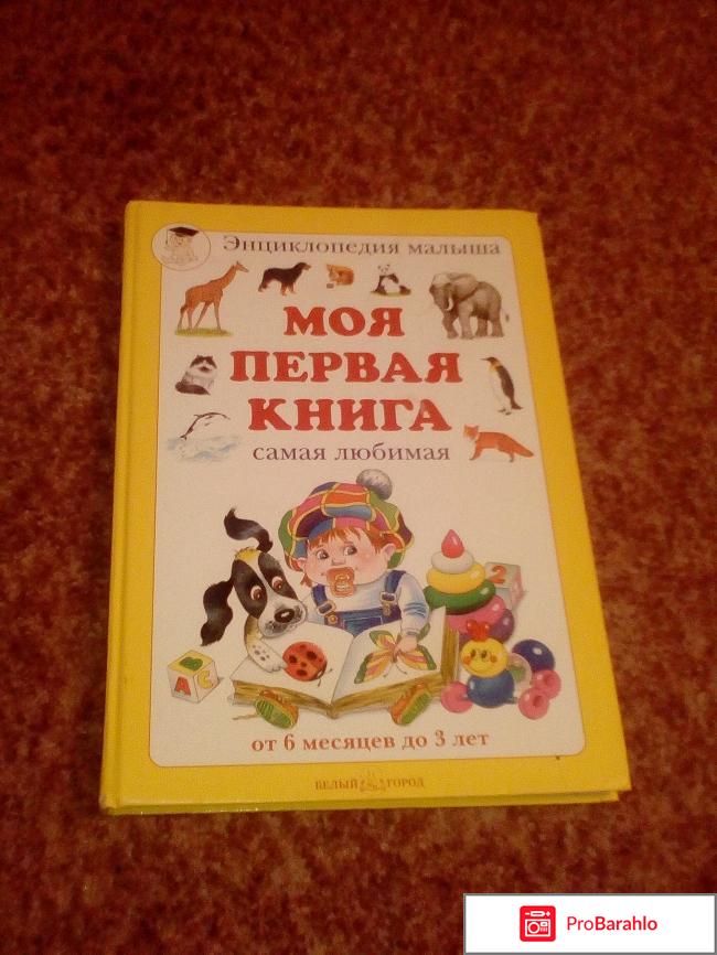 Книга  Моя первая книга 