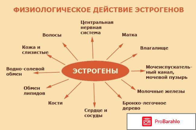 Гормон эстроген 
