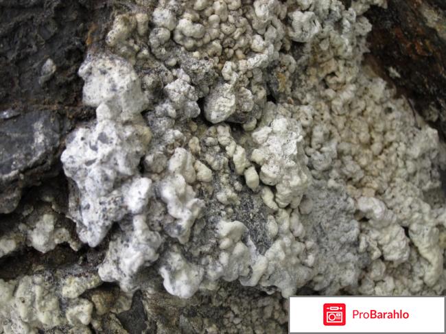 Каменное масло цена 