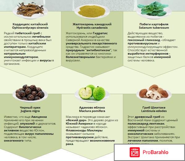 Papiderm от папиллом и бородавок: цена, отзывы, купить обман