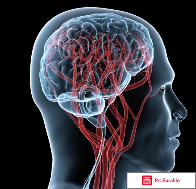 Танакан инструкция по применению отзывы обман