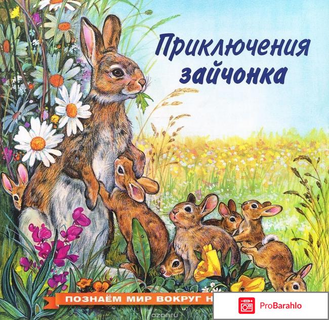 Книга  Приключения зайчонка 