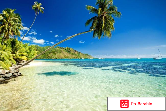 Отзывы туристов пхукет реальные отзывы