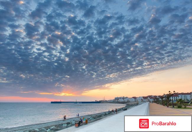 Бархатные сезоны сочи официальный сайт отзывы реальные отзывы