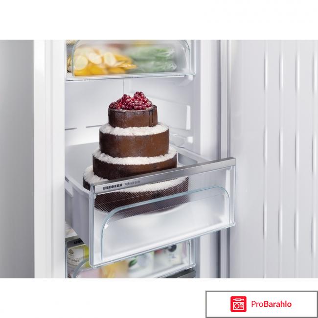 Морозильник Liebherr GNP 3255 отрицательные отзывы