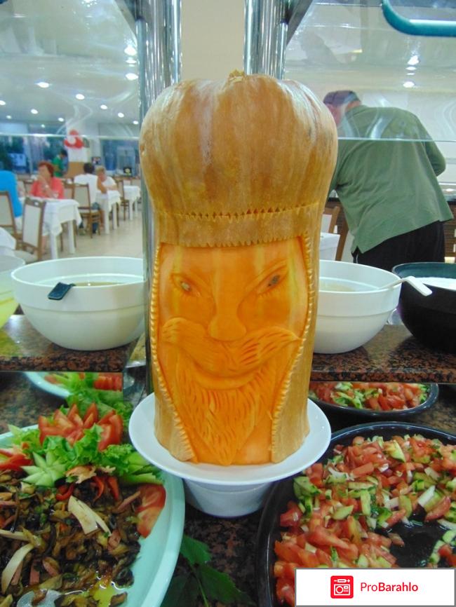 Lonicera World 4?, Турция, Аланья фото