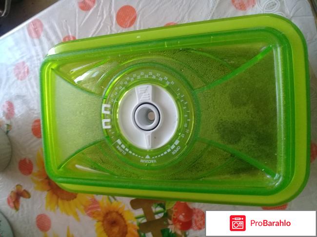 Контейнер  Vacsy Zepter отрицательные отзывы