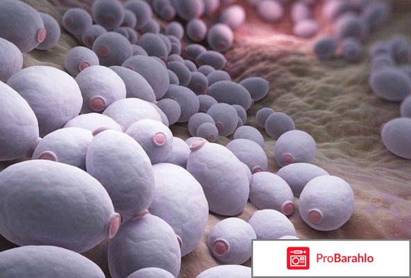 Пробиз фемина профилактика обман