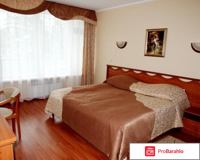 Пансионат лесные дали реальные отзывы