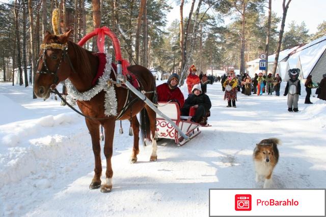 Новый год в подмосковье реальные отзывы