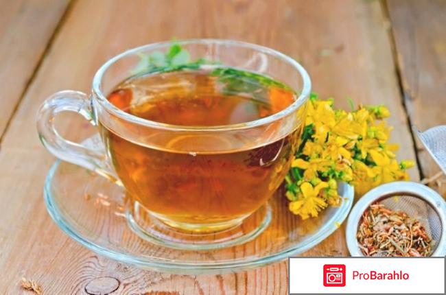 Зверобой отрицательные отзывы