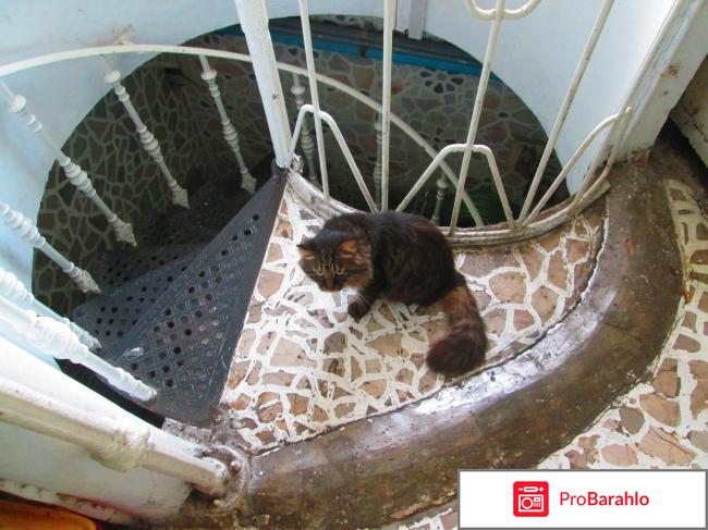 White House Hotel фото