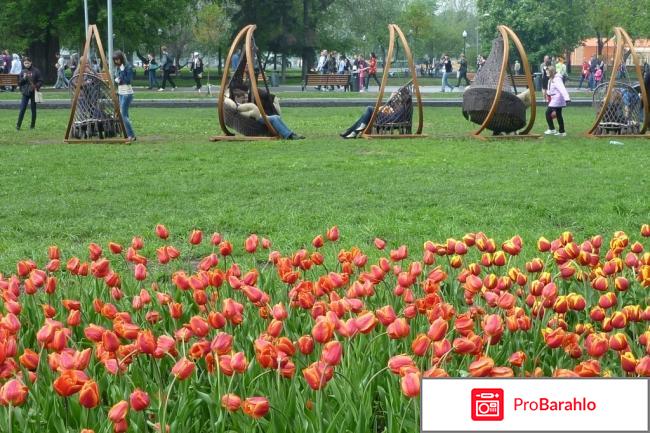 Переезд в москву отзывы отрицательные отзывы