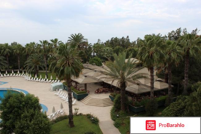 Ozkaymak incekum 5 5 отзывы владельцев