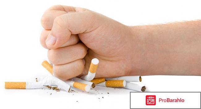 Puer Combo отзывы владельцев