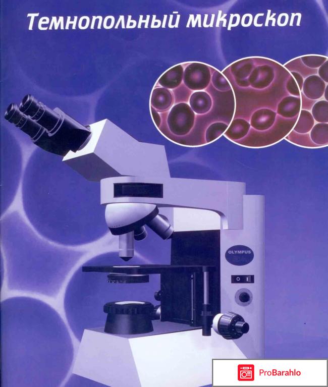 Гемосканирование крови цена 