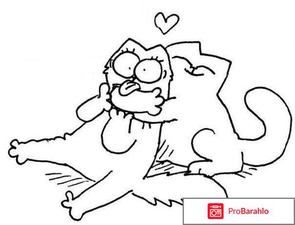 Кот Саймона обман