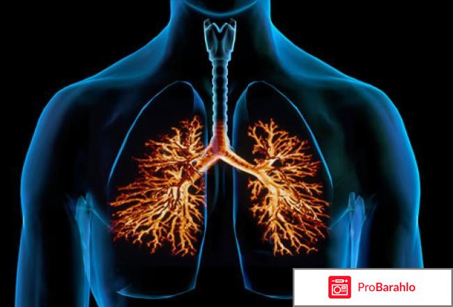 Бронхит лечение антибиотики