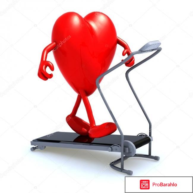 Секреты правильной тренировки сердца 