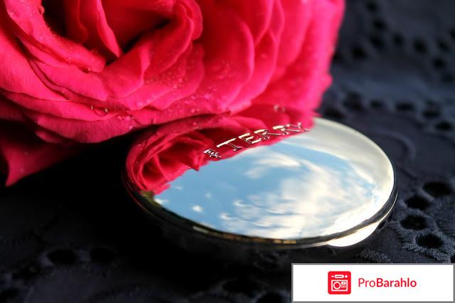 Пудра Terrybly Densiliss Compact By Terry обман