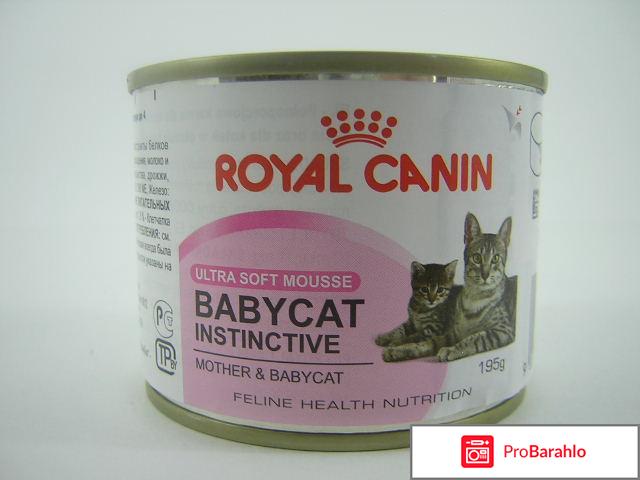 Royal canin babycat отрицательные отзывы