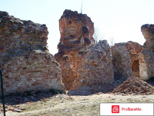 Руины Гольшанского замка фото