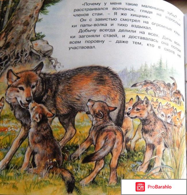 Книга  Приключения волчонка обман