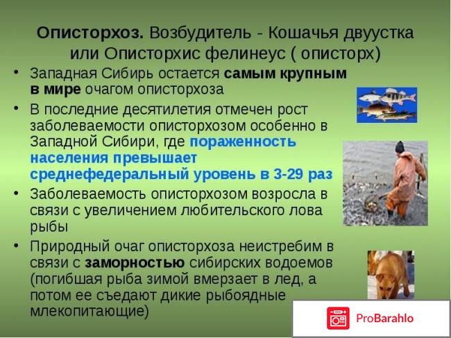 Чем опасен описторхоз если не лечить 