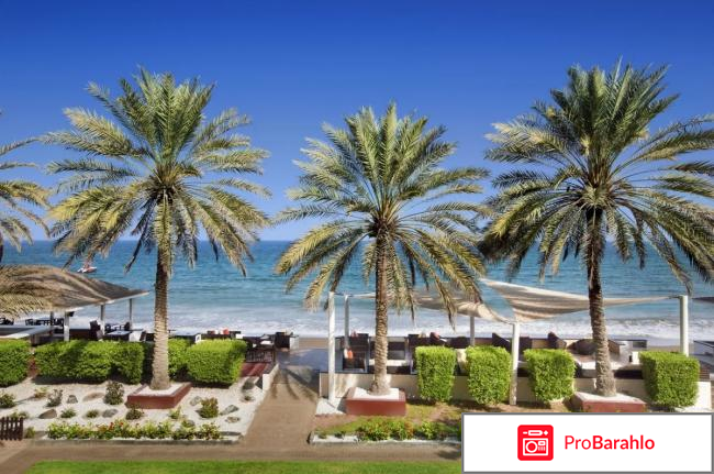 Фуджейра оаэ отзывы туристов обман