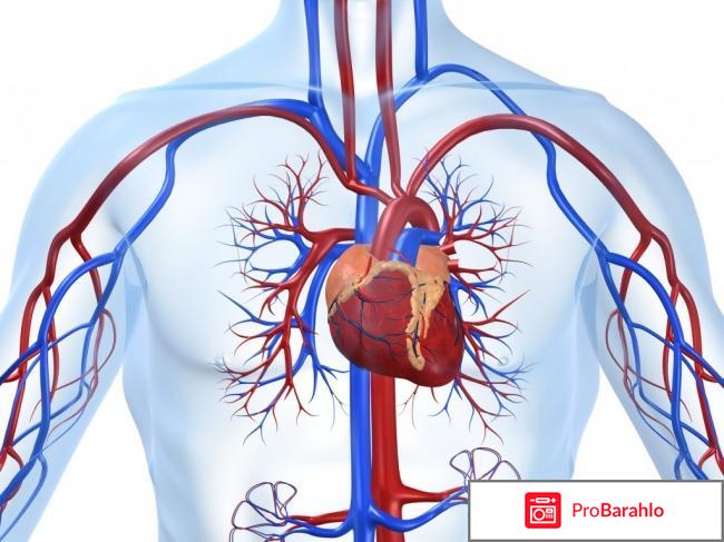 Кудесан капли инструкция по применению цена отзывы отрицательные отзывы