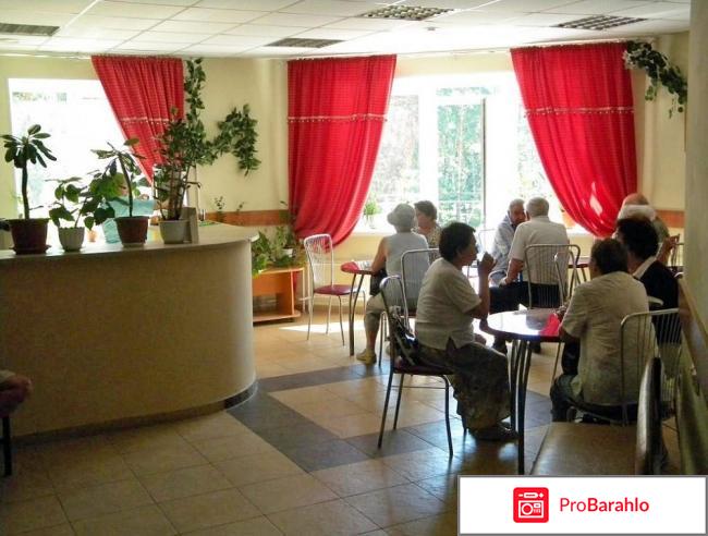 Отзывы о санатории русский лес владимирская область отзывы 2017 отрицательные отзывы