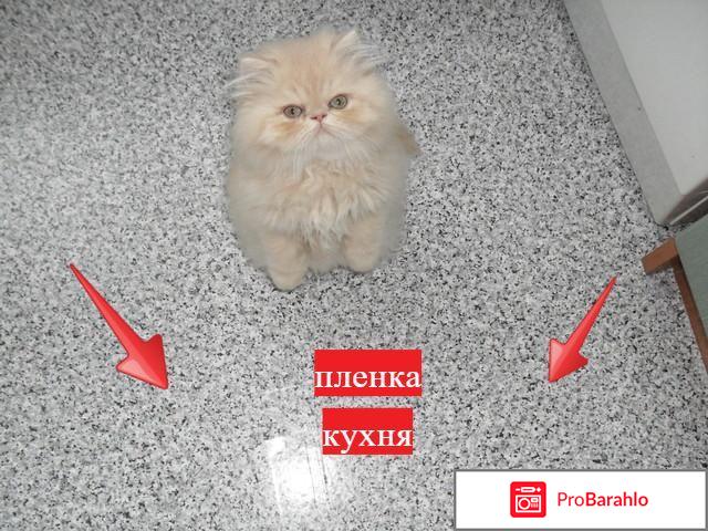 Пленка  самоклеящаяся  Gekkofix 