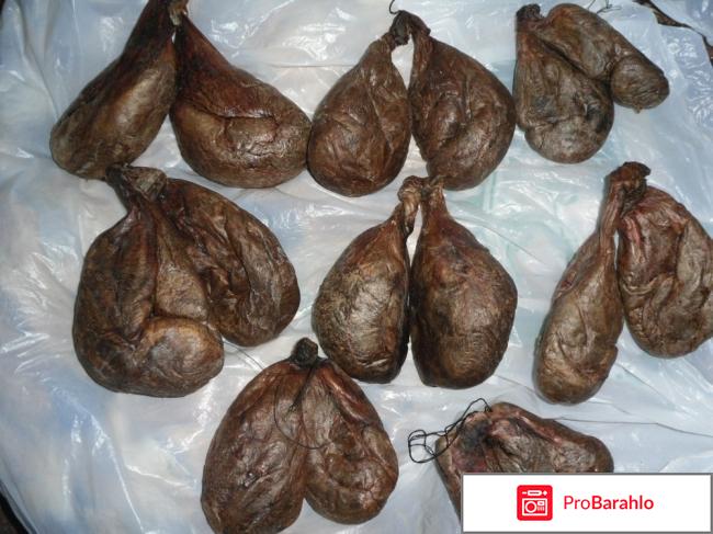 Бобровая струя для женщин отзывы 