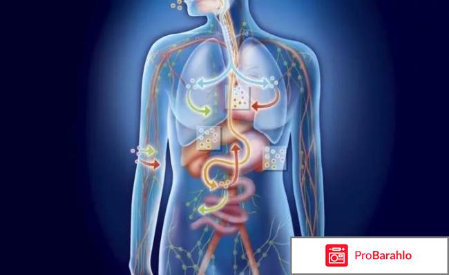 Refresh от шлаков и токсинов отрицательные отзывы