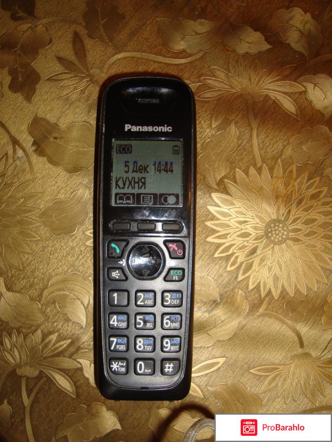 Радиотелефон Panasonic KX-TG6521RU обман