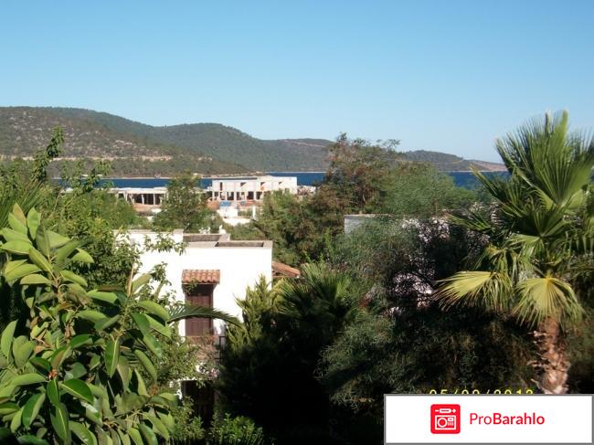 Бодрум турция отзывы туристов 