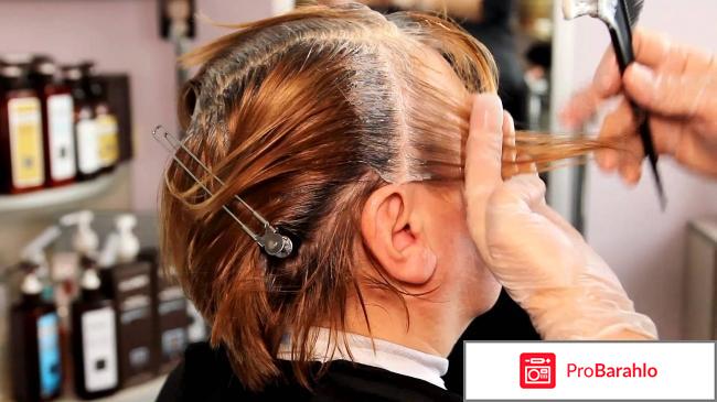 Какая краска хорошо закрашивает седину отзывы обман