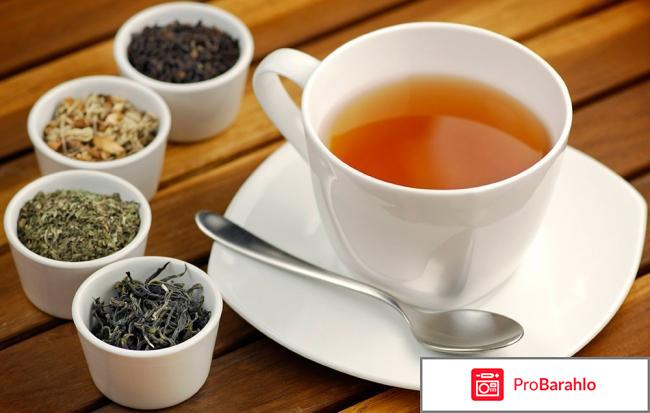 TibeTTea - тибетский чай для суставов отзывы владельцев