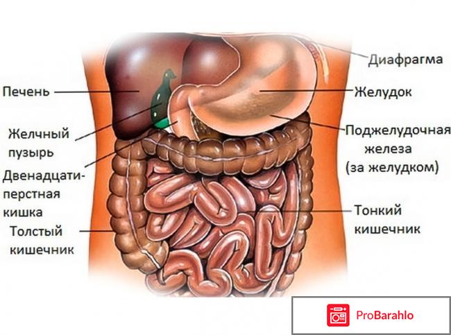 Мрт брюшной полости отрицательные отзывы